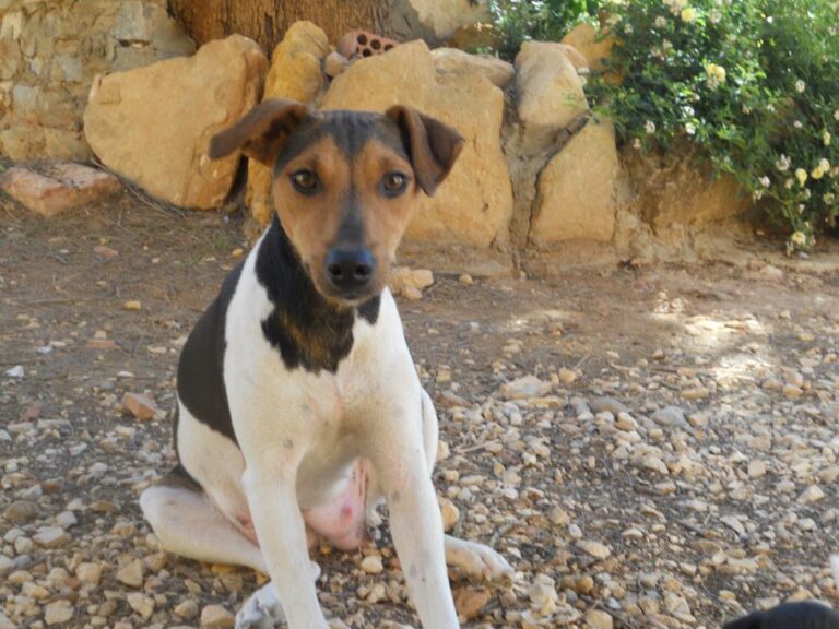 multimedia-foto51177-421-1