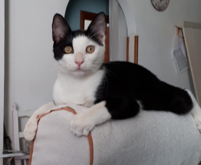 multimedia-foto51232-555-1