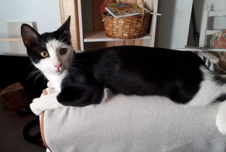 multimedia-foto51233-555-1