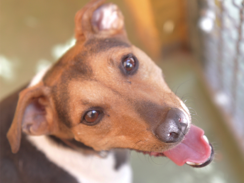 multimedia-foto51237-155-1