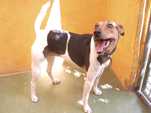 multimedia-foto51238-155-1