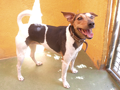 multimedia-foto51239-156-1