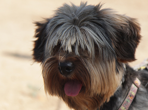 multimedia-foto51249-882-1