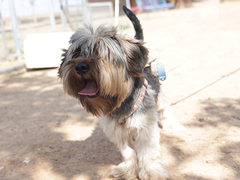 multimedia-foto51251-882-1