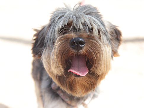 multimedia-foto51254-882-1