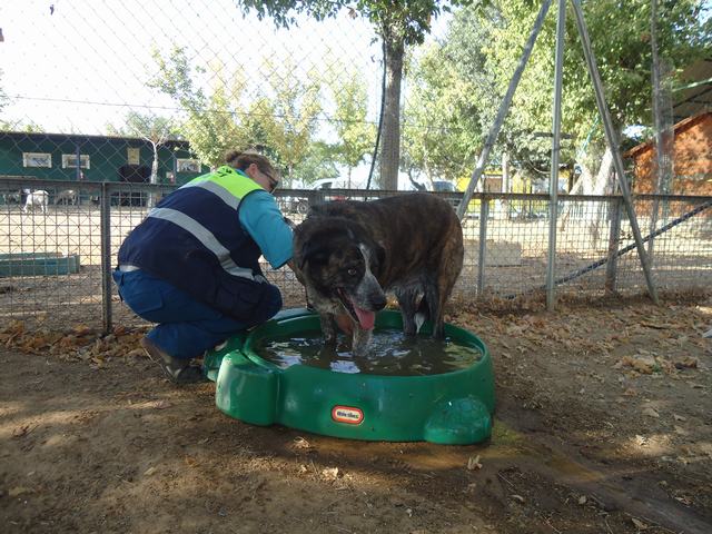 multimedia-foto51255-367-3