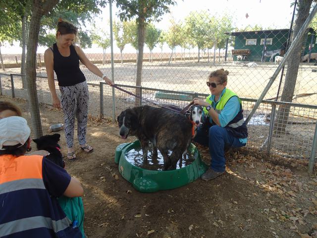 multimedia-foto51256-367-3