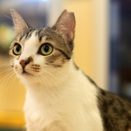 multimedia-foto51323-792-1