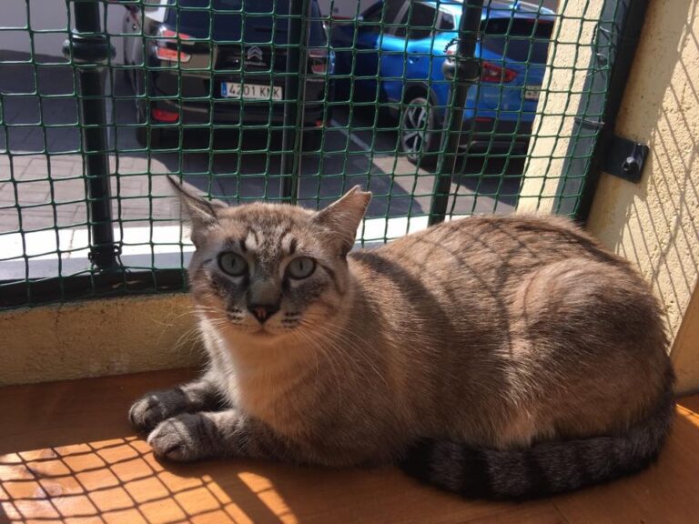 multimedia-foto51327-923-1