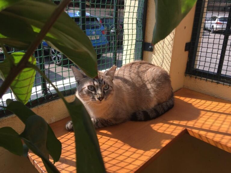 multimedia-foto51328-924-1