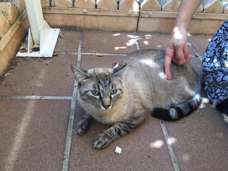 multimedia-foto51329-924-1