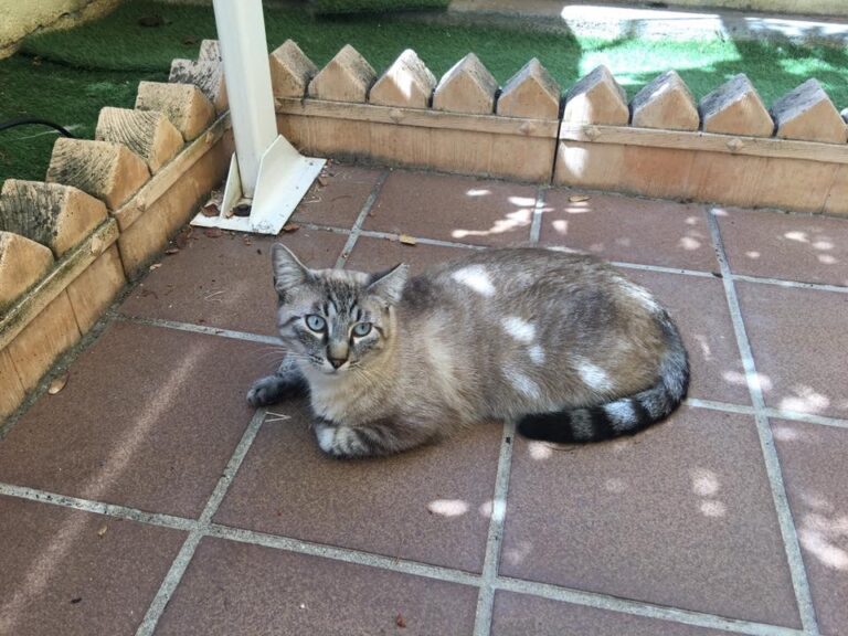 multimedia-foto51330-924-1