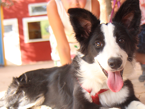 multimedia-foto51360-240-1