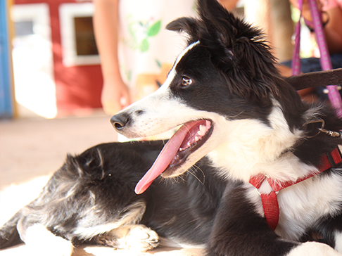 multimedia-foto51361-240-1