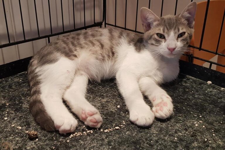 multimedia-foto51369-538-1