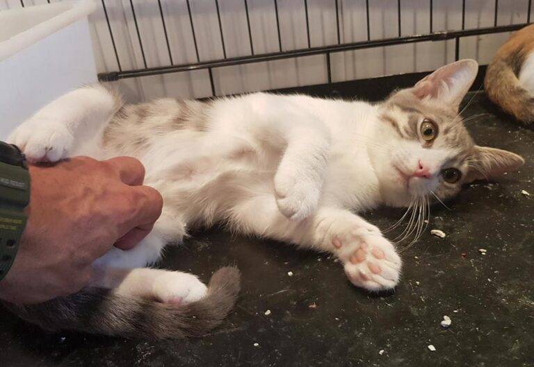 multimedia-foto51371-539-1