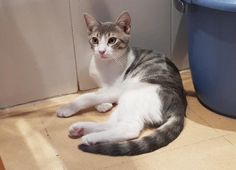 multimedia-foto51372-539-1