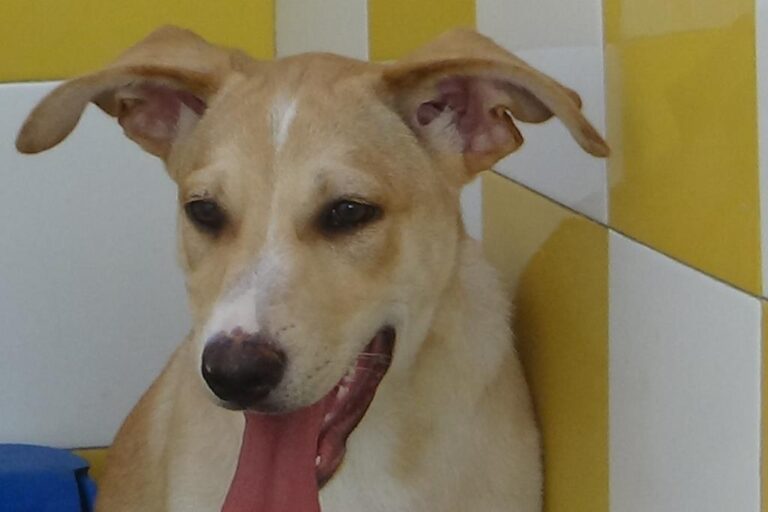 multimedia-foto51412-677-1