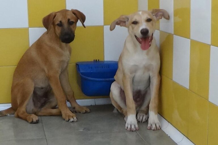 multimedia-foto51418-678-1