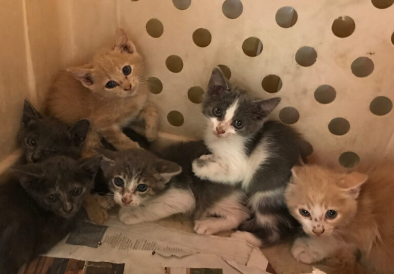 multimedia-foto51575-719-1