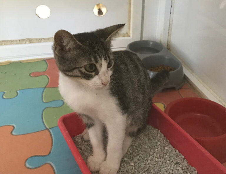 multimedia-foto51597-719-1