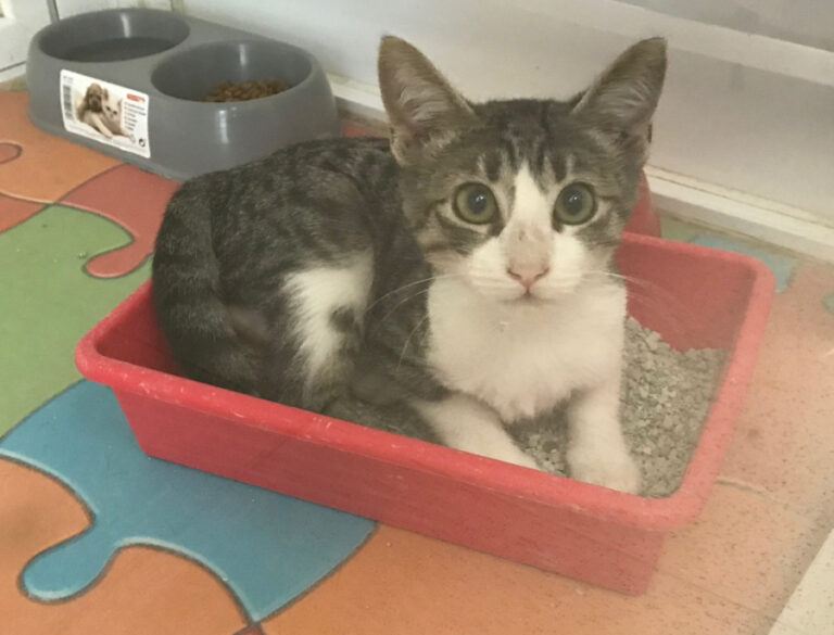 multimedia-foto51598-720-1