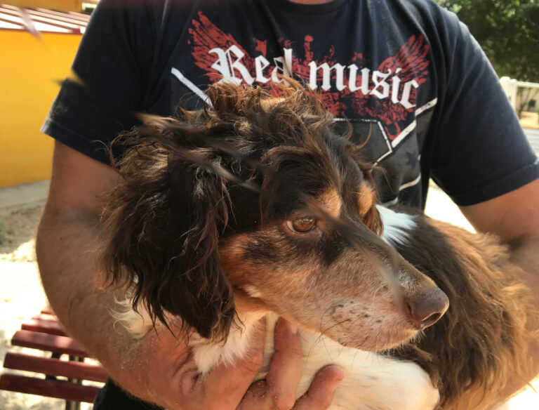 multimedia-foto51609-11-1