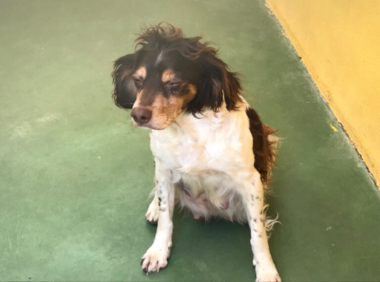 multimedia-foto51611-12-1