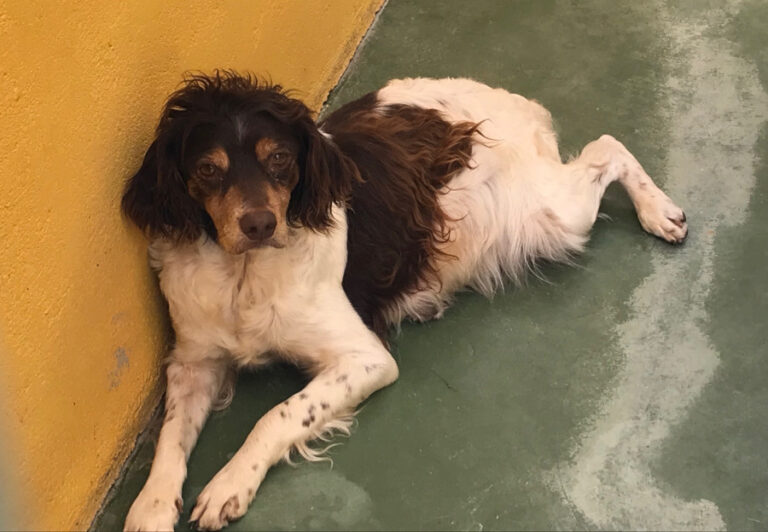 multimedia-foto51612-12-1