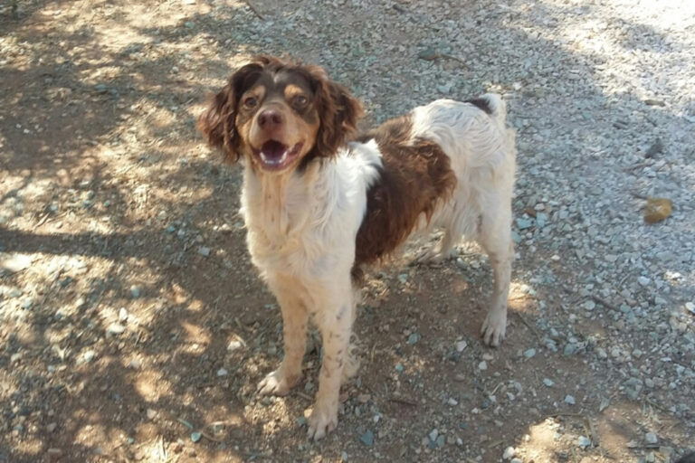 multimedia-foto51613-12-1