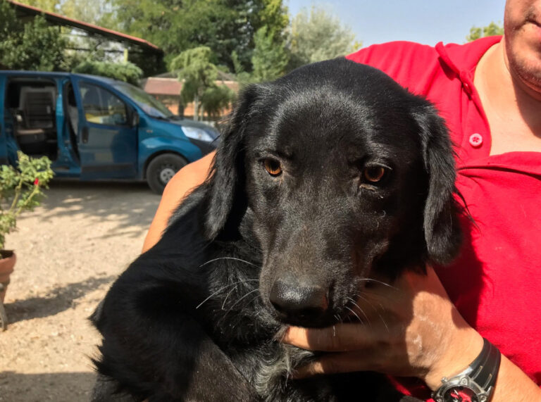 multimedia-foto51648-486-1