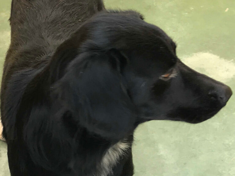 multimedia-foto51649-486-1