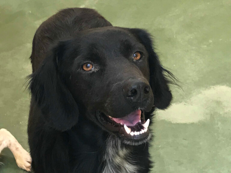 multimedia-foto51650-486-1