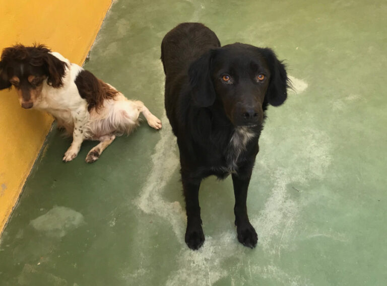 multimedia-foto51651-486-1