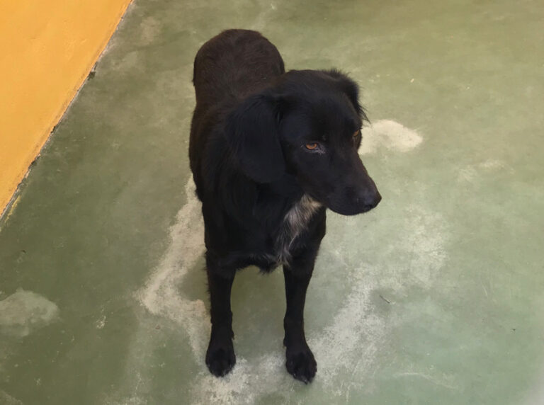 multimedia-foto51652-487-1