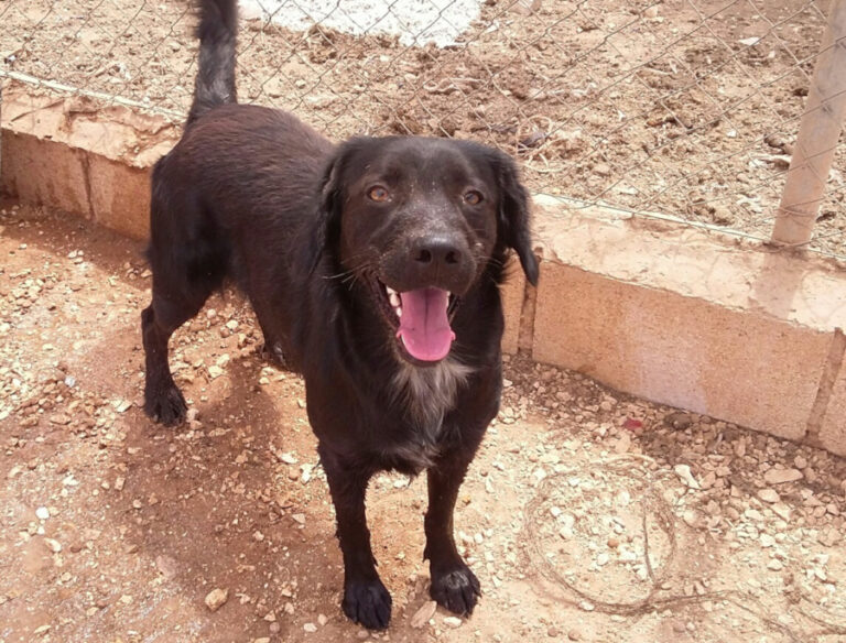 multimedia-foto51653-487-1