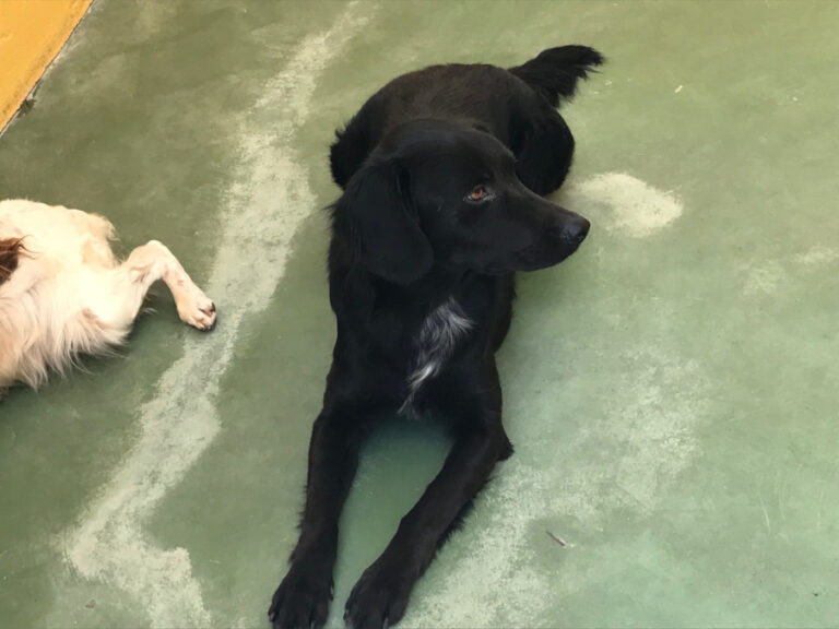 multimedia-foto51654-487-1