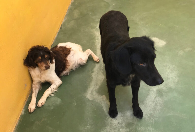 multimedia-foto51655-516-1