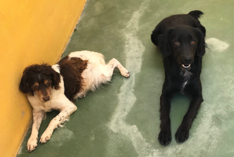 multimedia-foto51656-517-1