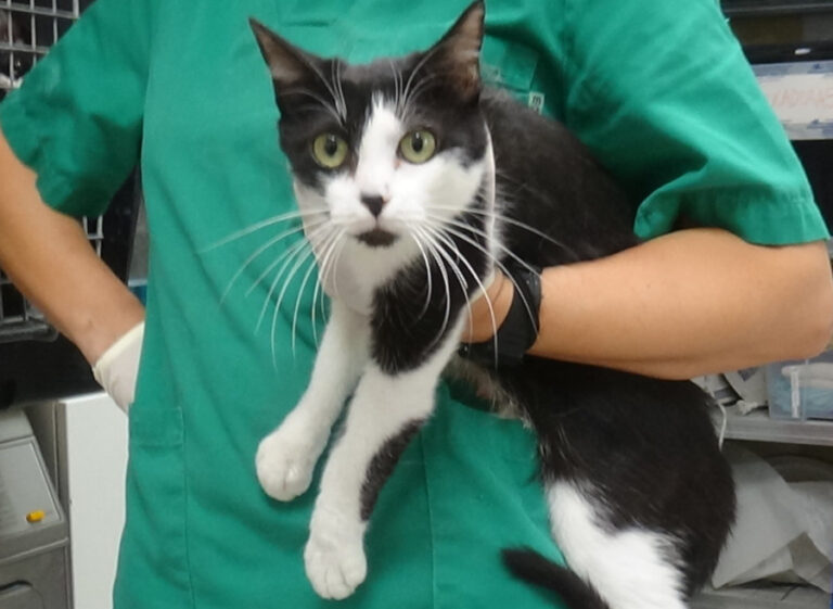 multimedia-foto51677-206-1