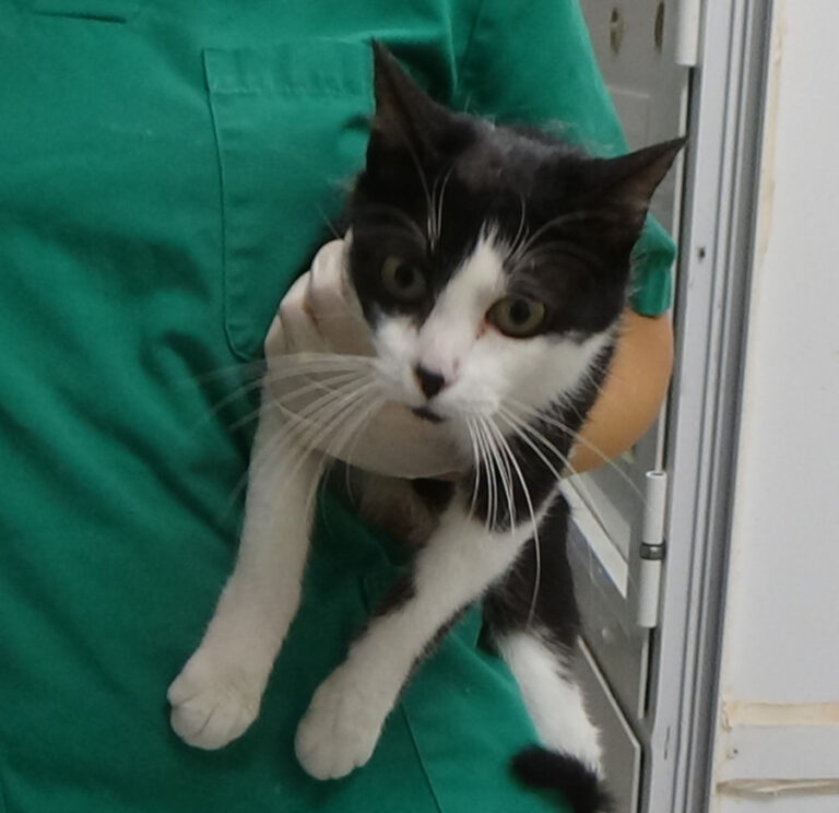 multimedia-foto51679-206-1