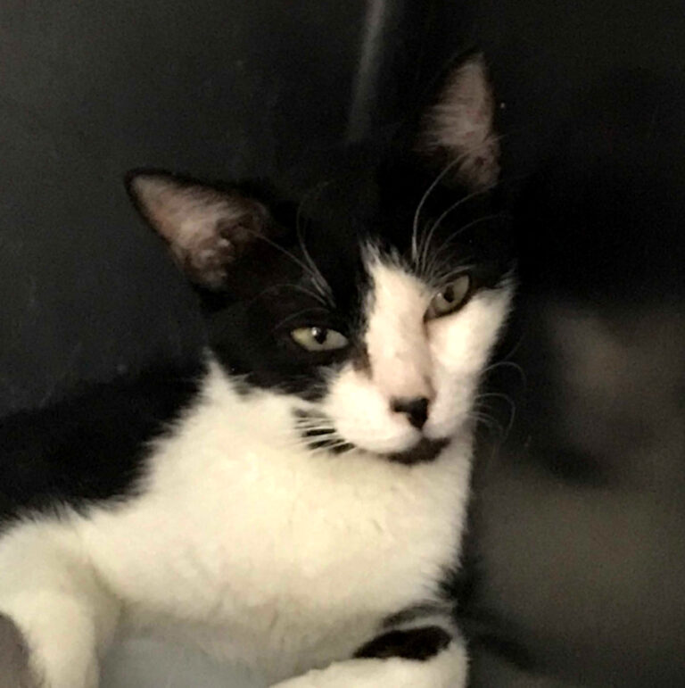 multimedia-foto51682-207-1