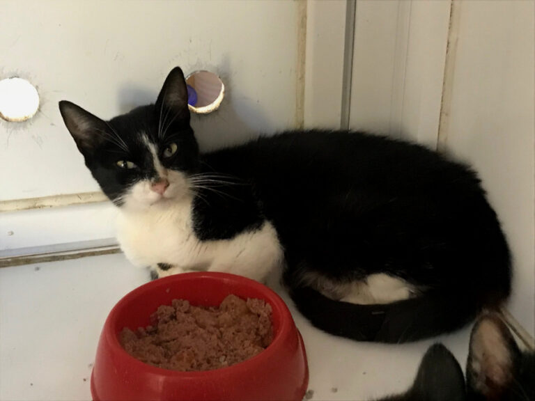 multimedia-foto51726-651-1