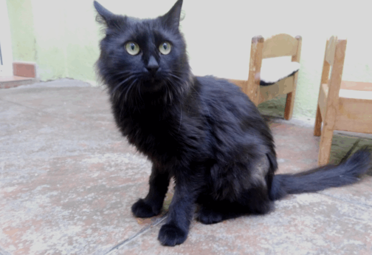 multimedia-foto51752-107-1