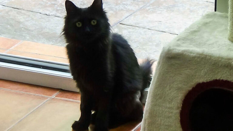 multimedia-foto51755-108-1