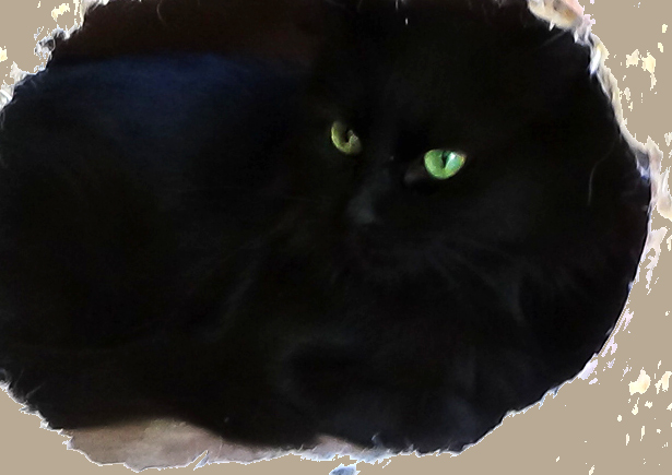 multimedia-foto51756-108-1