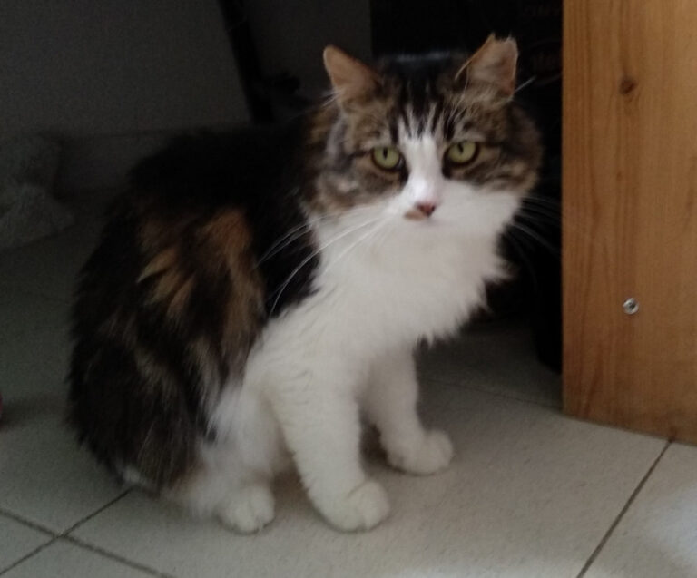 multimedia-foto51782-365-1