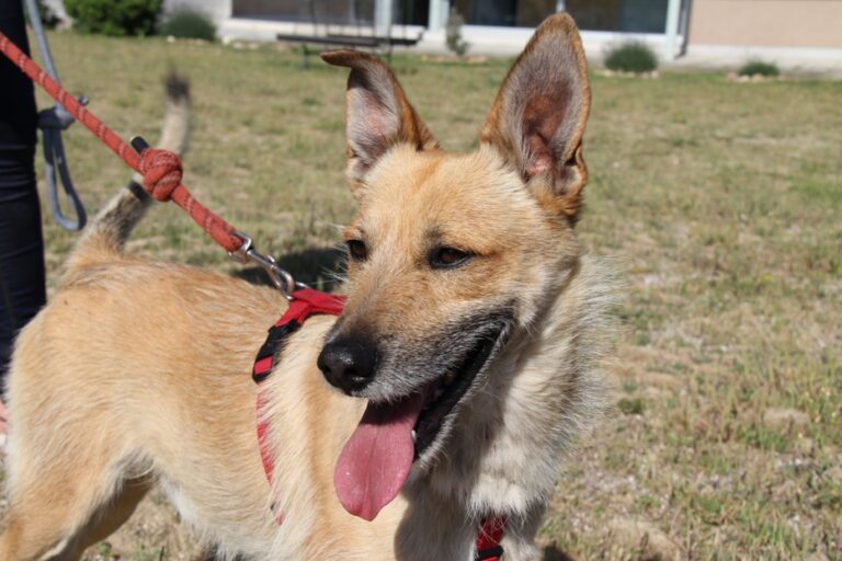 multimedia-foto51790-787-1