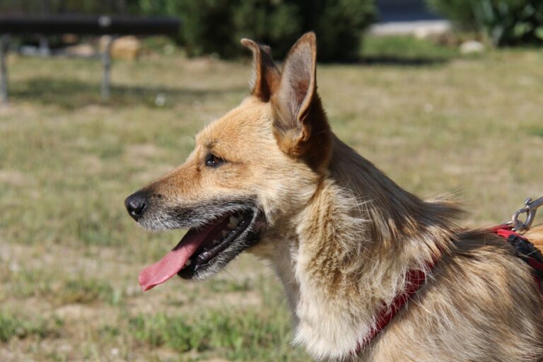 multimedia-foto51791-788-1