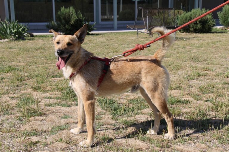 multimedia-foto51792-788-1